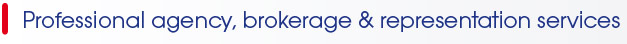 Professional agency, brokerage & representation services